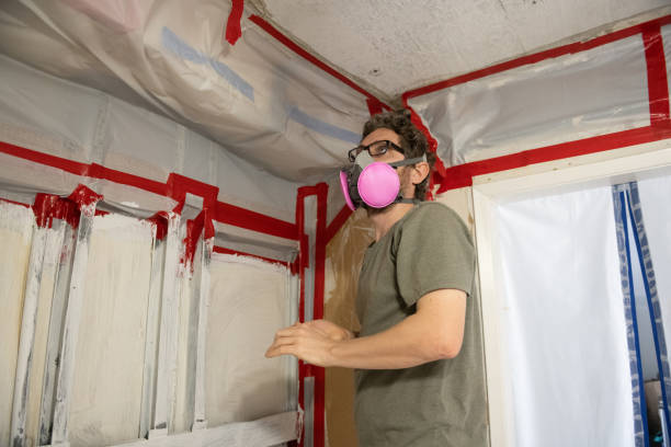 Best Crawl Space Mold Remediation  in Decatur, MI