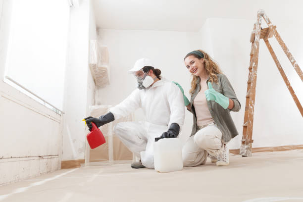 Best Biohazard Mold Removal  in Decatur, MI